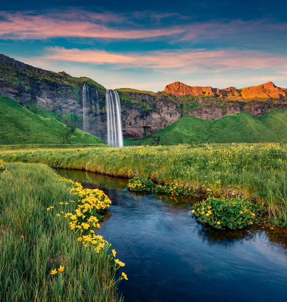 Spannender Sonnenuntergang Einem Beliebten Touristenziel Dem Seljalandsfoss Wasserfall Touristen Hinter — Stockfoto