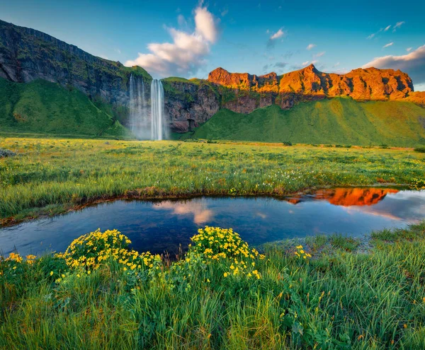 Fotografování Krajiny Čerstvě Zelený Výhled Seljalandfoss Vodopád Fantastická Venkovní Scéna — Stock fotografie