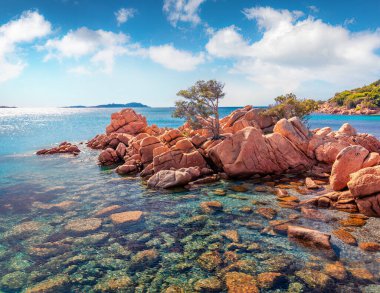 Capriccioli Sahili 'nde turnuva düzenleme manzarası. Akdeniz yeşilliği, Sardunya, İtalya 'da bir koyda yerleşmiş kum ve granit kayalıklarla dolu güneşli bir sabah sahnesi.