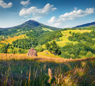 Hayaletli Rogojel Köyü 'nün çekici sabah sahnesi. Cluj County, Romanya ve Avrupa 'nın güzel yaz manzarası. Seyahat konsepti arka planı