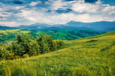 Arka planda Hoverla ve Petros tepeleri olan taze yeşil Karpatlar manzarası. Karpat Dağları 'nın dramatik yaz manzarası. Ukrayna kırsalının muhteşem manzarası.