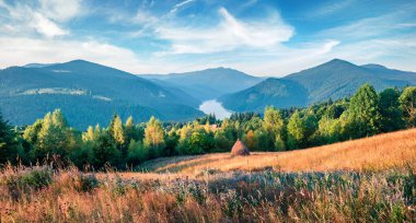 Romanya 'nın Cluj Eyaleti' ndeki Lacul Dragan Gölü 'nün panoramik sabah manzarası. Apuseni Dağları 'ndaki parlak yaz sahnesi. Doğa konseptinin güzelliği.