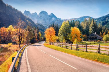 Gosaubach Gölü 'nün asfalt yollu güneşli sabah manzarası. Avusturya Alpleri, Yukarı Avusturya, Avrupa 'nın parlak yaz manzarası. Doğa konseptinin güzelliği.