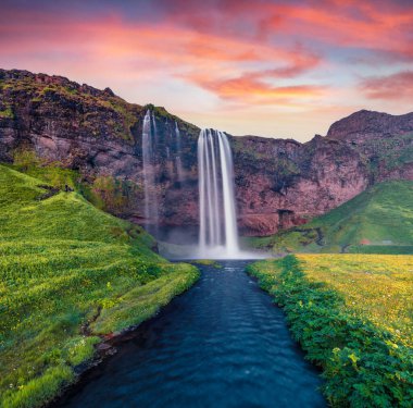 Seljalandsfoss Watterfall 'da muhteşem bir yaz gündoğumu. İzlanda, Avrupa 'nın muhteşem mormimg sahnesi. Doğa konseptinin güzelliği.