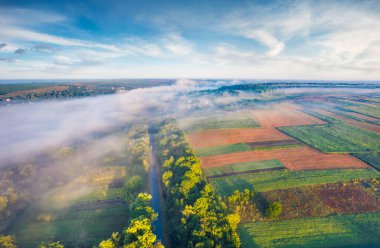 Ukrayna kırsalında buğday tarlasıyla uçan dronun görüntüsü. Ternopil kasabası, Ukrayna, Avrupa 'da fantastik bir yaz gündoğumu. Hava manzarası fotoğrafı.