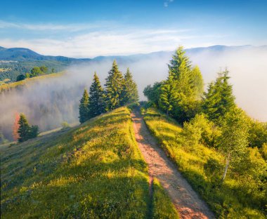 Hava manzarası fotoğrafçılığı. Karpatlar 'ın uçan insansız hava aracı uçağından sisli bir sabah manzarası, Yasinya köyünün yeri, Ukrayna, Avrupa. Dağ vadisinin parlak yaz manzarası.