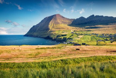 Manzara fotoğrafçılığı. Vidoy Adası, Vidareidi köyünün insansız hava aracından güneşli yaz manzarası. Faroe Adaları, Danimarka, Avrupa 'nın resimli sabah manzarası. Güzel yaz manzarası