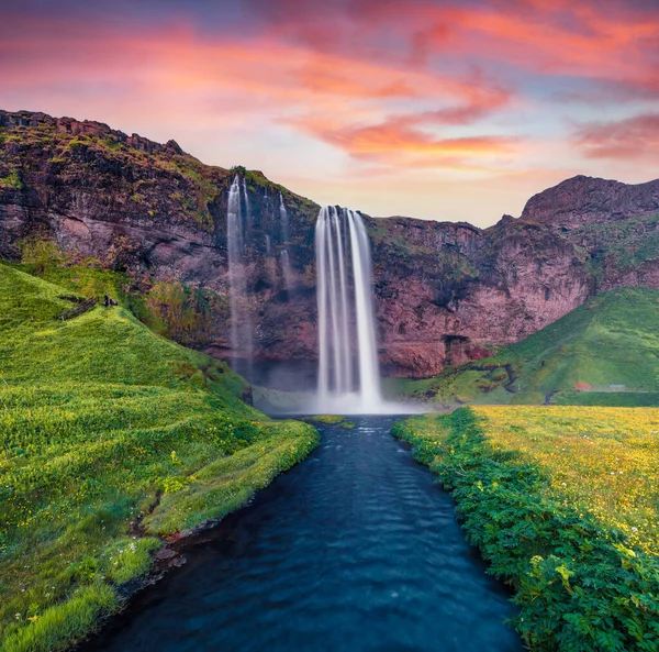 Υπέροχη Καλοκαιρινή Ανατολή Στο Seljalandsfoss Watterfall Υπέροχη Σκηνή Μορμιγκ Της — Φωτογραφία Αρχείου