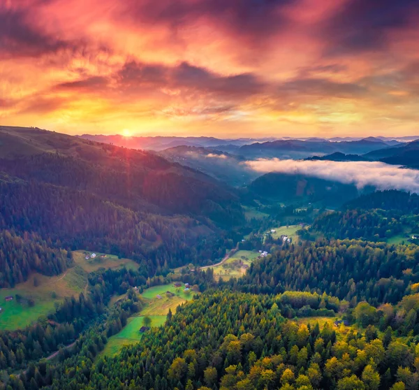 Hermoso Paisaje Verano Espectacular Amanecer Las Montañas Los Cárpatos Niebla — Foto de Stock