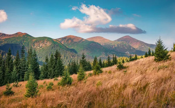 Landschapsfotografie Schilderachtige Ochtend Scène Van Carpethische Bergen Met Hoverla Piek — Stockfoto