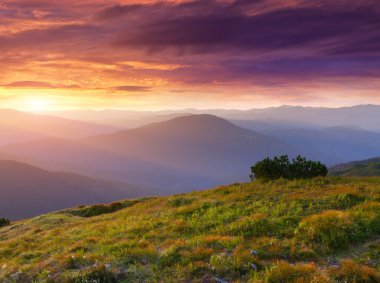 Dağlardaki güzel yaz manzarası. 