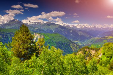 Kafkas Dağları'nda Alpine meadows. 