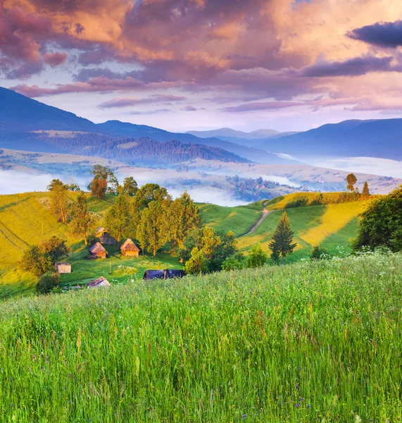 Foggy summer morning in the mountain village — kuvapankkivalokuva