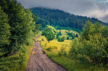Manzara fotoğrafçılığı. Eski kır yolu ile dağ vadisinin dramatik yaz manzarası. Ukrayna, Karpatlar 'daki Kvasy köyünün yeşil yaz manzarası. Seyahat konsepti arka planı