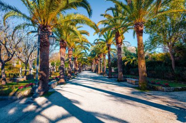Giardino Ibleo Bahçesi 'nin güzel bahar manzarası. Sicilya, İtalya, Avrupa 'nın güneşli sabah manzarası. Seyahat konsepti arka planı.