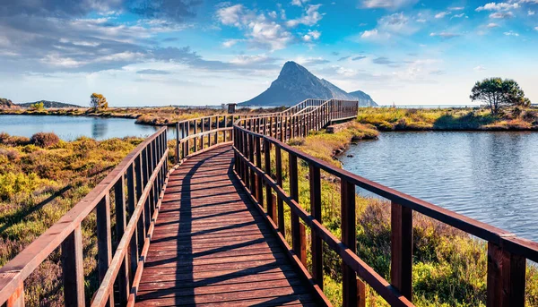 木製の歩道橋でSpiaggia Porto Tavernaビーチの素晴らしい夏の景色 サルデーニャ島 イタリア ヨーロッパの素晴らしい朝のシーン 絵のように美しい地中海の風景 ストック画像