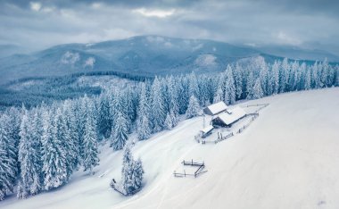 Güzel kış manzarası. Dağ köyünün dramatik doğa manzarası. Karpat dağlarında karla kaplı firavun ağaçları. Ukrayna 'nın dağ ormanlarının uçan insansız hava aracından harika bir sabah manzarası..