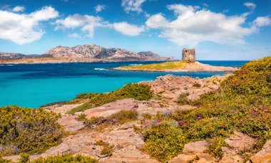 Manzara fotoğrafçılığı. Torre della Pelosa kulesiyle Spiaggia della Pelosa sahilinin güneşli yaz manzarası. Sardunya adası, İtalya, Avrupa 'nın heyecanlı sabah manzarası. Akdeniz manzarası. 
