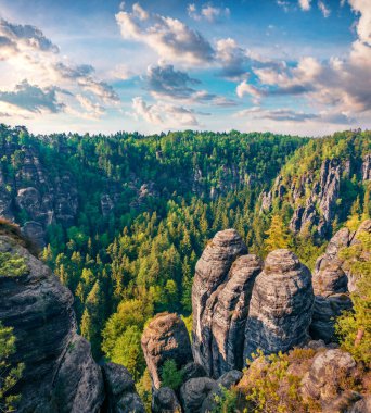 Saxon İsviçre Ulusal Parkı 'ndaki kumtaşı uçurumunun sisli sabah sahnesinde arka planda Bastei köprüsü var. Almanya 'nın, Saksonya' nın, Avrupa 'nın çarpıcı yaz manzarası. Seyahat konsepti arka planı.