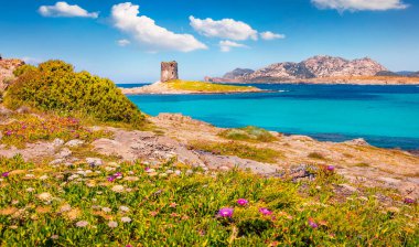 Güzel deniz manzarası. Torre della Pelosa kulesiyle Spiaggia della Pelosa sahilinde muhteşem bir bahar günü. Sardunya adası, İtalya, Avrupa 'nın güzel sabah manzarası. Akdeniz manzarası.