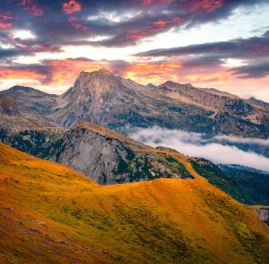 Rolle Pass 'ın tepesinden nefes kesici sonbahar manzarası. Dolomitlerin muhteşem sabah sahnesi. Trentino ili, İtalya ve Avrupa 'nın sisli manzarası. Seyahat konsepti arka planı.