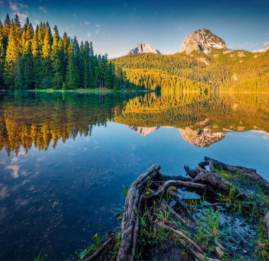 Sakin yaz manzarası. Kara Göl 'ün göz kamaştırıcı sabah manzarası. Karadağ 'ın Zabljak kenti Durmitor Nacionalni Park' ın heyecan verici yaz manzarası. Doğa konseptinin güzelliği.