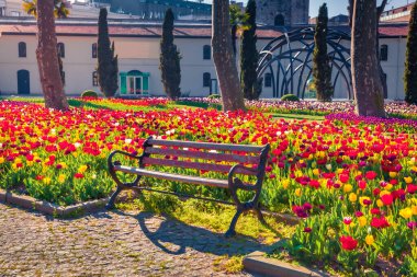 İstanbul, Gülhane (Rosehouse) parkında muhteşem kırmızı lale çiçekleri. Türkiye, Avrupa 'nın şaşırtıcı bahar manzarası. Şehir parkının güneşli sabah manzarası. Doğa konseptinin güzelliği