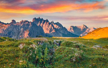 Güzel bir yaz manzarası. Arka planda Cadini di Misurina aralığı olan Ulusal Park Tre Cime di Lavaredo 'nun Rocky yaz sahnesi. Dolomite Alpleri, İtalya, Avrupa 'nın muhteşem sabah manzarası. 