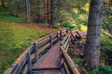 Kara Göl kıyısındaki eski ahşap köprü. Karadağ 'ın Zabljak kenti Durmitor Nacionalni Park' ın gizemli yaz sahnesi. Doğa konseptinin güzelliği.