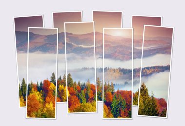 Karpatya dağlarında şaşırtıcı sonbahar gündoğumu kolajının sekiz karesini izole ettim. Sisli Dağ Vadisi 'nin resimli sabah sahnesi. Modüler fotoğrafın maketi