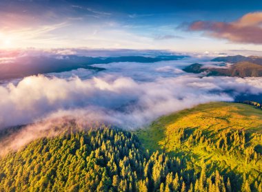 Hava manzarası fotoğrafçılığı. İlk gün ışığı parlayan dağ ormanı. Breska Vadisi 'nin insansız hava aracının puslu sabah görüntüsü. Karpat Dağları, Ukrayna, Avrupa 'nın fantastik yaz manzarası.
