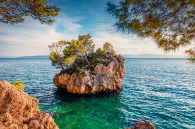 Güzel deniz manzarası. Ünlü turistlerin ilgi odağı Brela Stone. Adriyatik denizi, Dalmaçya kıyıları, Hırvatistan ve Avrupa 'nın inanılmaz yaz deniz manzarası. Akdeniz ülkelerinin harika dünyası. 
