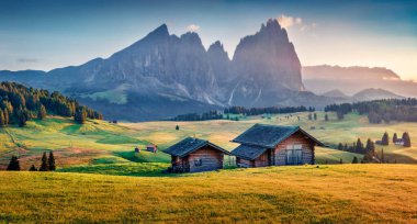 Güzel bir yaz manzarası. Compaccio köyü, Seiser Alm ya da Alpe di Siusi bölgesi, Bolzano ili, Güney Tyrol, İtalya, Avrupa. Dolomite Alpleri 'nin çekici yaz gündoğumu. 