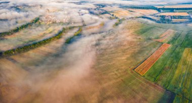 Ukrayna 'nın buğday tarlasıyla uçan insansız hava aracından hayret verici bir yaz manzarası. Ukrayna, Avrupa 'nın etkileyici sabah manzarası. Seyahat konsepti arka planı
