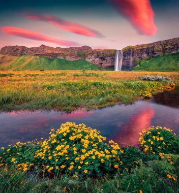 Harika bir yaz manzarası. Seljalandsfoss 'ta, turistlerin şelalenin arkasında yürüyebileceği dramatik bir gün doğumu. İzlanda, Avrupa 'nın muhteşem sabah manzarası. Doğa konseptinin güzelliği.