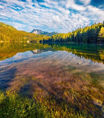 Derin mavi gökyüzü, Kara Göl 'ün (Crno Jezero) sakin sularını yansıttı. Karadağ 'ın Zabljak kenti Durmitor Nacionalni Park' ın muhteşem yaz manzarası. Doğa konseptinin güzelliği.