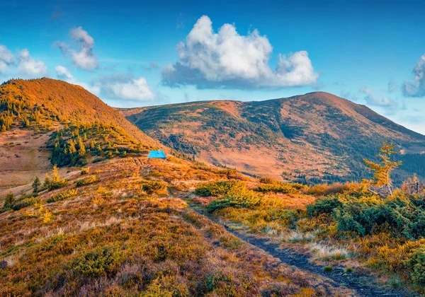 Beautiful autumn scenery. Colorful landscape with Petros peak on background. Exciting morning scene of Carpathians at September. Wonderful outdoor scene of mountain village.