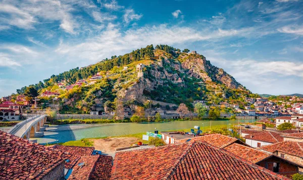 Bellissimo Paesaggio Urbano Primaverile Della Città Berat Situato Sul Fiume — Foto Stock