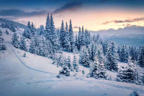 Dramatická Zimní Scenérie Mrazivý Večerní Pohled Horský Les Nádherná Zimní — Stock fotografie