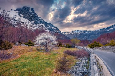 Arka planda karlı zirveler olan Theth Ulusal Parkı 'nda dramatik bir gün doğumu. Arnavutluk, Avrupa 'da ilkbaharın başlarında açan kiraz ağacı. Doğa konseptinin güzelliği