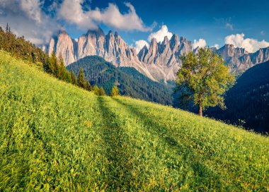Harika Alpler manzarası. Santa Magdalena köyünün renkli yaz manzarası. Funes Valley 'in resimli sabah sahnesi. İtalya, Avrupa 'nın resimli manzarası. Doğa konseptinin güzelliği