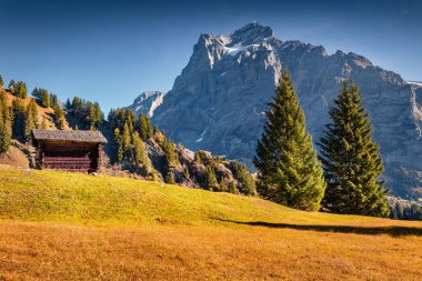 Grindelwald Köyü 'nün güneşli sonbahar manzarası. İsviçre Bernese Alpleri, İsviçre, Avrupa 'nın muhteşem sabah manzarası. Kırsal konseptin güzelliği.