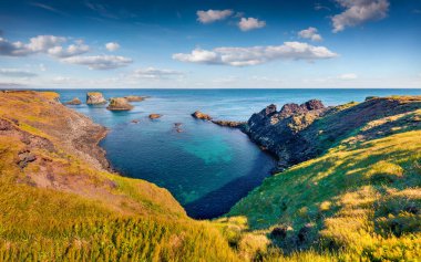 Güzel bir yaz manzarası. Arnarstapi ya da Stapi köyünün güneşli sabahları manzarası. İzlanda, Avrupa 'nın muhteşem açık hava manzarası. Atlantik Okyanusu.