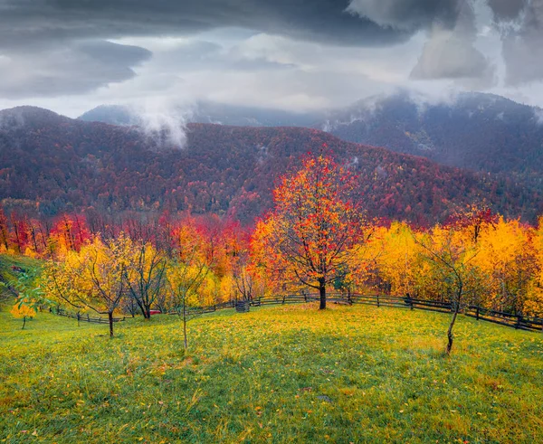 山の谷の劇的な秋の景色 山の村 カルパティア ウクライナ ヨーロッパの信じられないほどの朝のシーン 自然の概念の背景の美しさ 豊富なカラーパレット — ストック写真