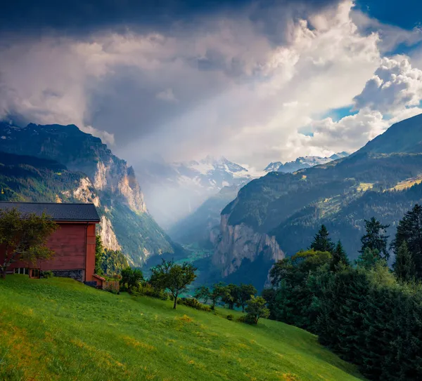 Dramatische Sommer Ansicht Von Wengen Dorf Spektakuläre Morgenlandschaft Der Schweizer — Stockfoto