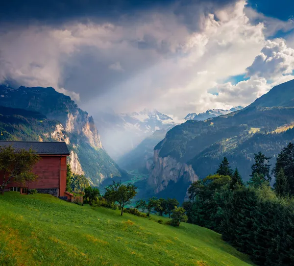 Dramatyczny Letni Widok Wioskę Wengen Spektakularna Scena Poranna Alp Szwajcarskich — Zdjęcie stockowe