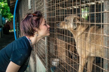 Barınaktaki köpek. Hayvan barınağı gönüllüsü köpekleri besliyor. Kafeste yalnız köpekler ve neşeli bir gönüllü kadın.