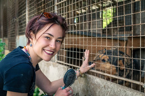 Dog at the shelter. Animal shelter volunteer feeding the dogs. Lonely dogs in cage with cheerful woman volunteer