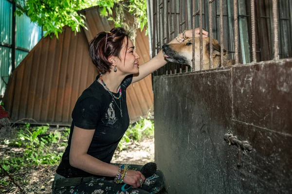 Dog at the shelter. Animal shelter volunteer feeding the dogs. Lonely dogs in cage with cheerful woman volunteer