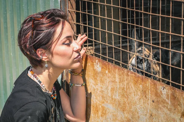 Dog at the shelter. Animal shelter volunteer feeding the dogs. Lonely dogs in cage with cheerful woman volunteer